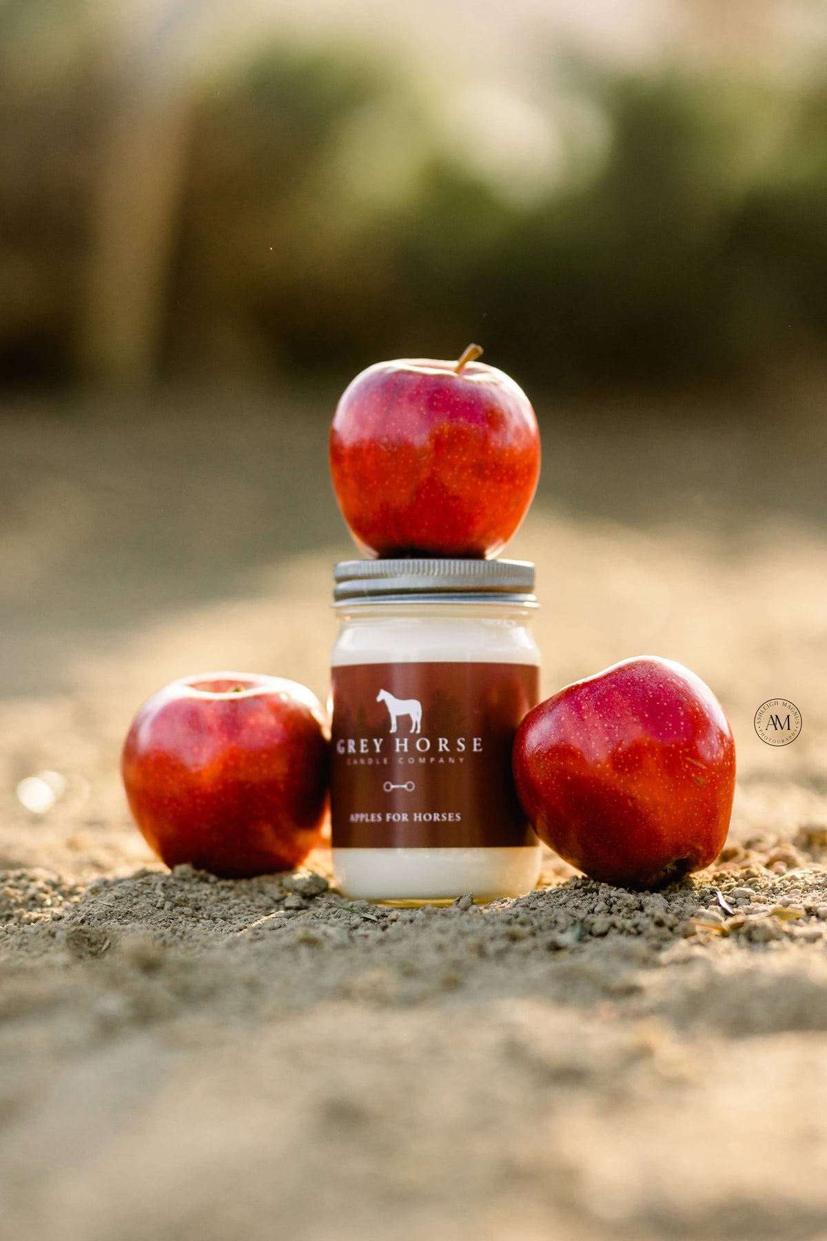 Apples For Horses Soy Candle - Scent of the Month