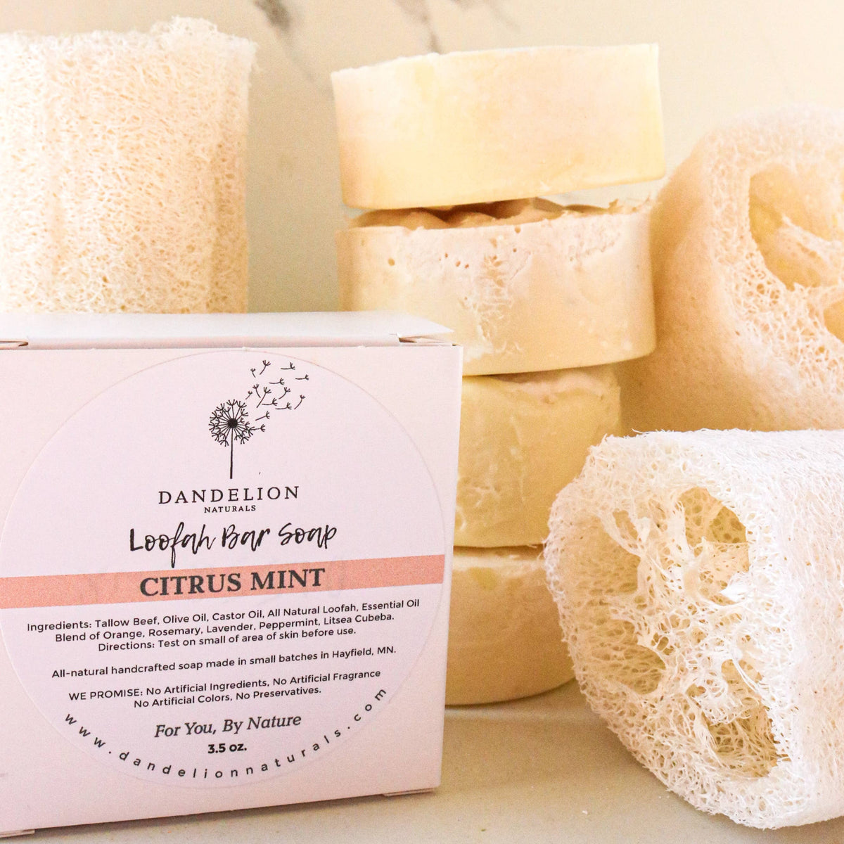 Exfoliating Tallow Bar Soap with Loofah | Citrus + Mint