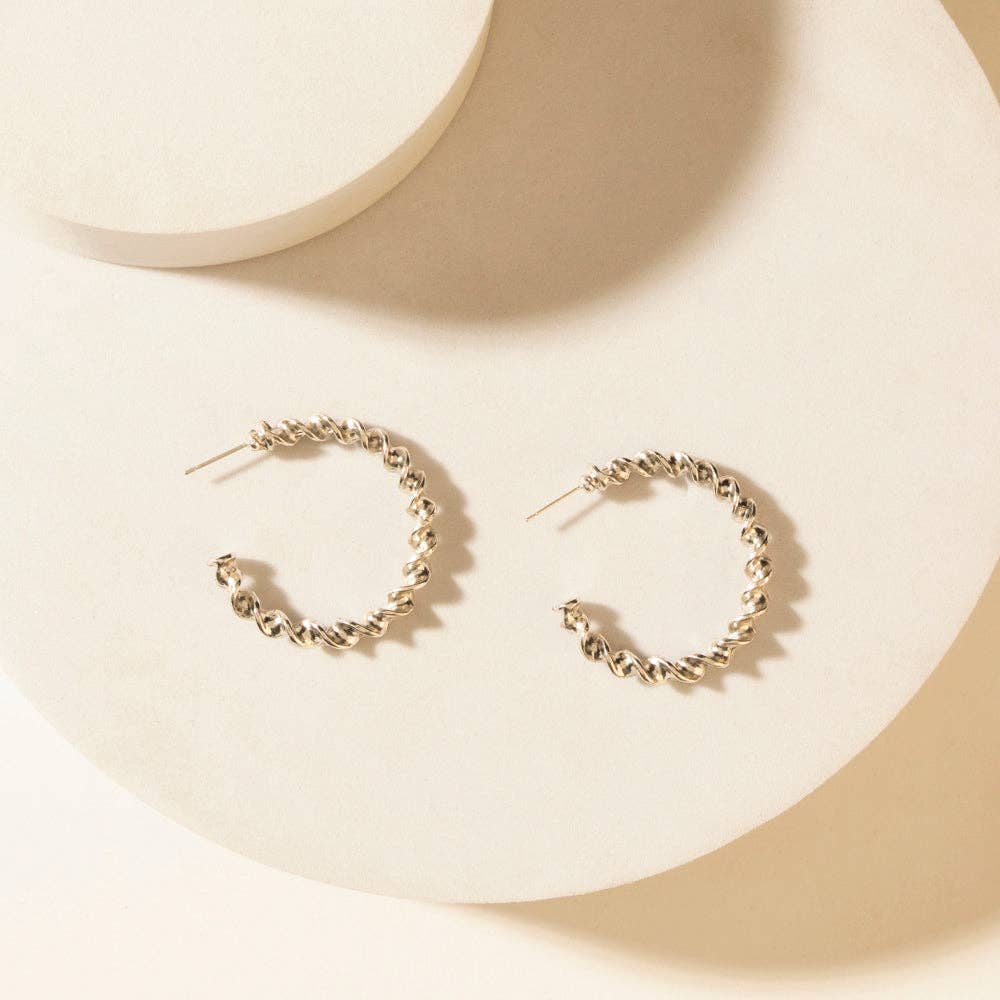 Moonbeam Earrings Set in Silver Shine: Silver Shine