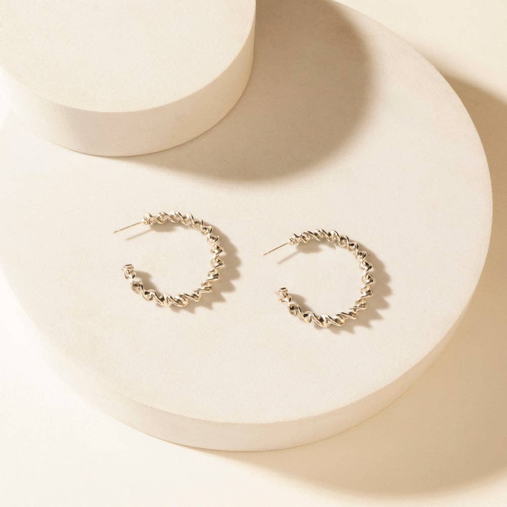 Moonbeam Earrings Set in Silver Shine: Silver Shine