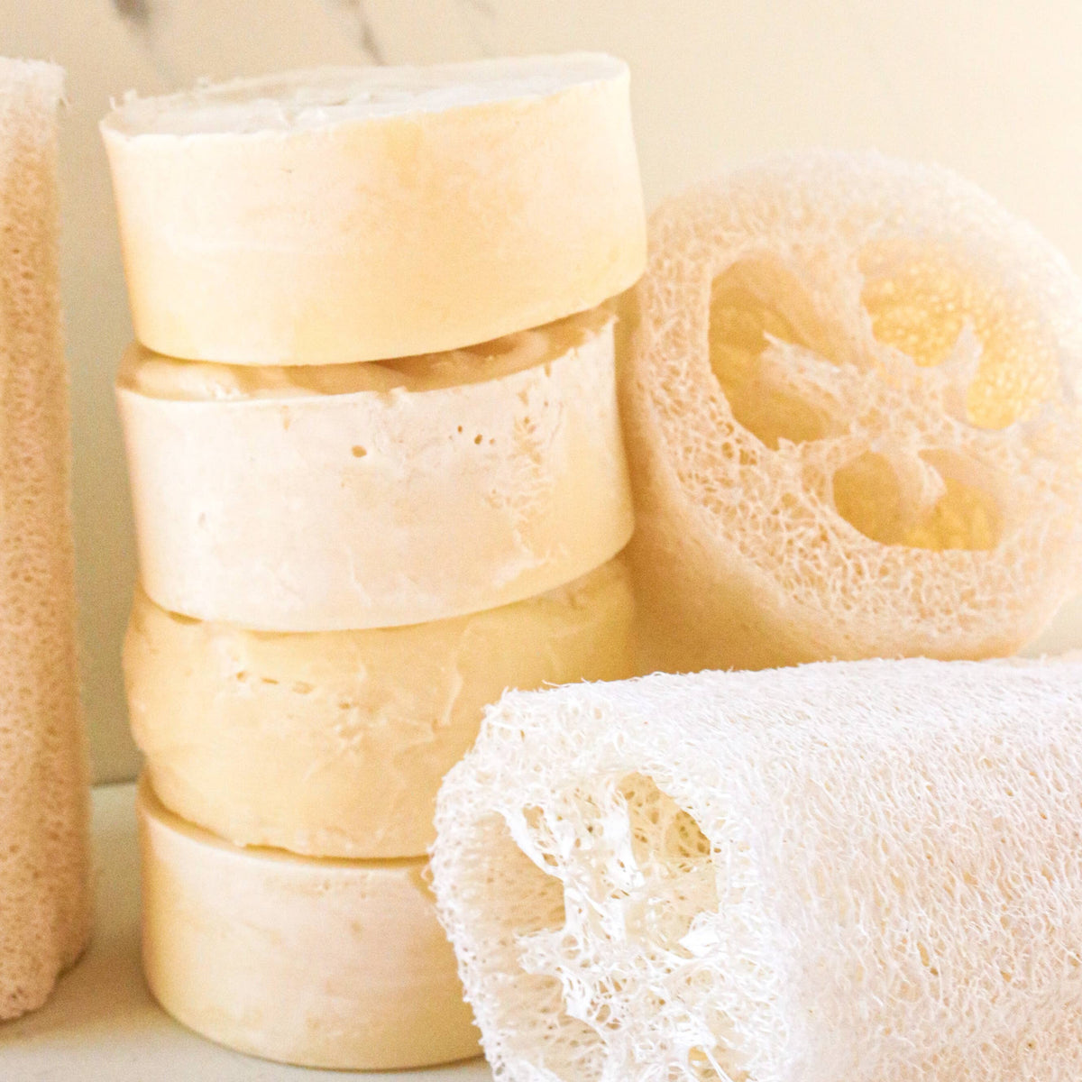 Exfoliating Tallow Bar Soap with Loofah | Citrus + Mint
